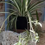 Violet Apartamento Vis