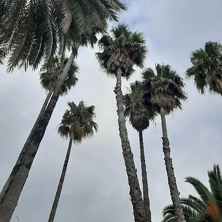 Violet Apartamento *