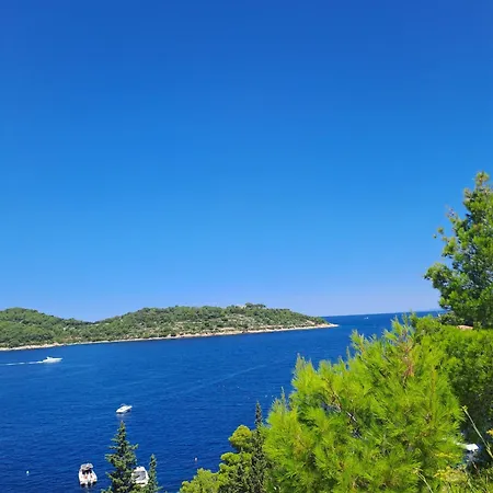 Apartamento Violet Vis