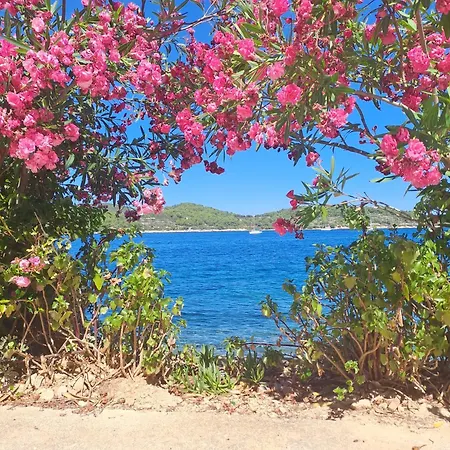 Violet Apartamento *